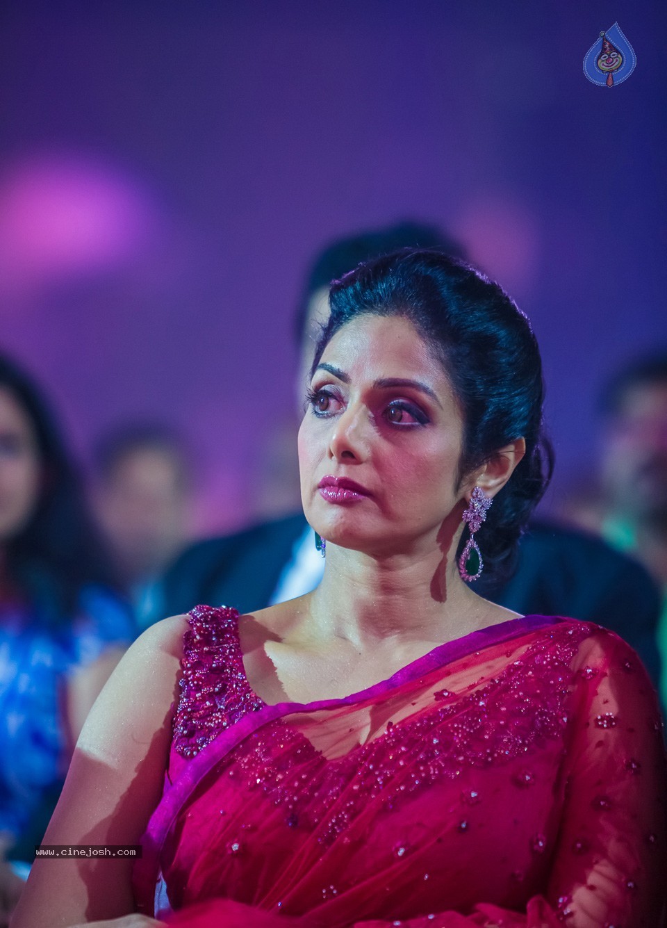 SIIMA 2013 Awards Day2 Photos 01 - 120 / 153 photos