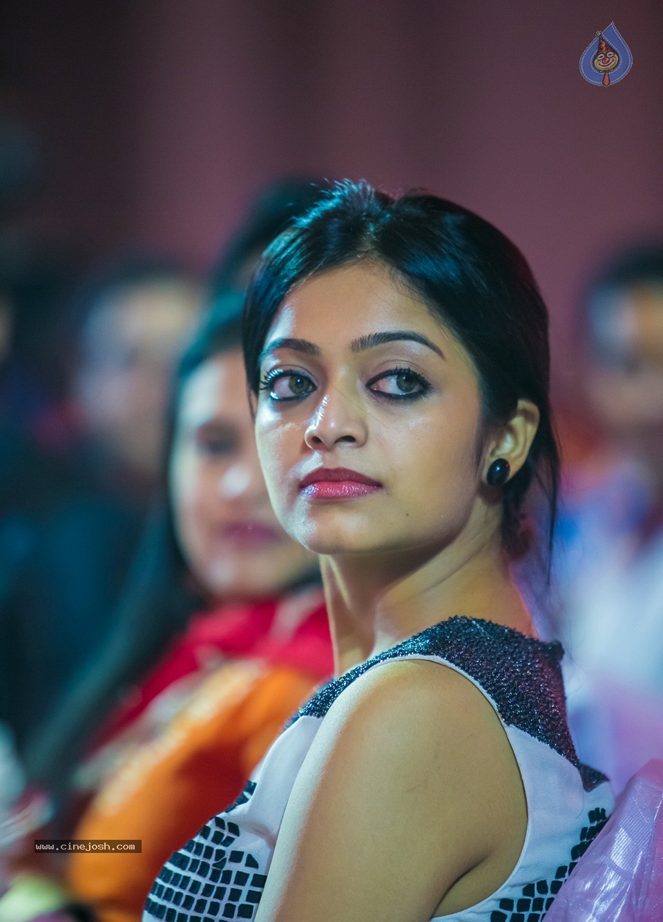 SIIMA 2013 Awards Day2 Photos 01 - 147 / 153 photos