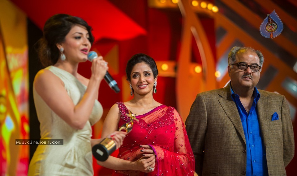 SIIMA 2013 Awards Day2 Photos 02 - 9 / 156 photos