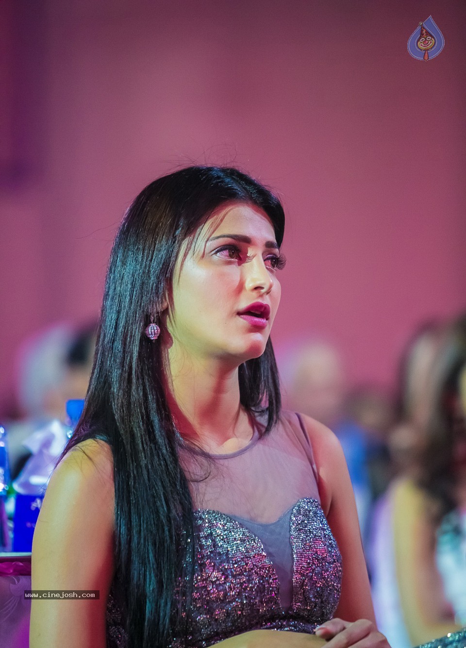 SIIMA 2013 Awards Day2 Photos 02 - 11 / 156 photos