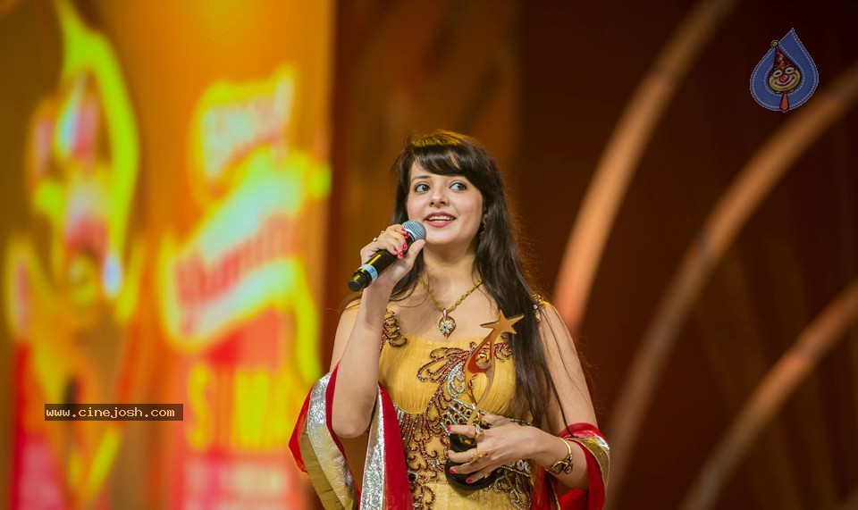 SIIMA 2013 Awards Day2 Photos 02 - 85 / 156 photos
