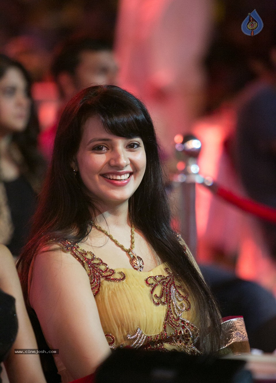 SIIMA 2013 Awards Day2 Photos 02 - 92 / 156 photos