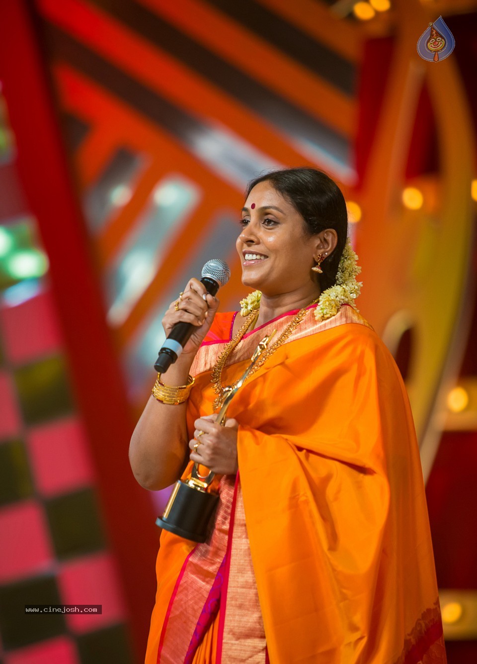 SIIMA 2013 Awards Day2 Photos 02 - 98 / 156 photos