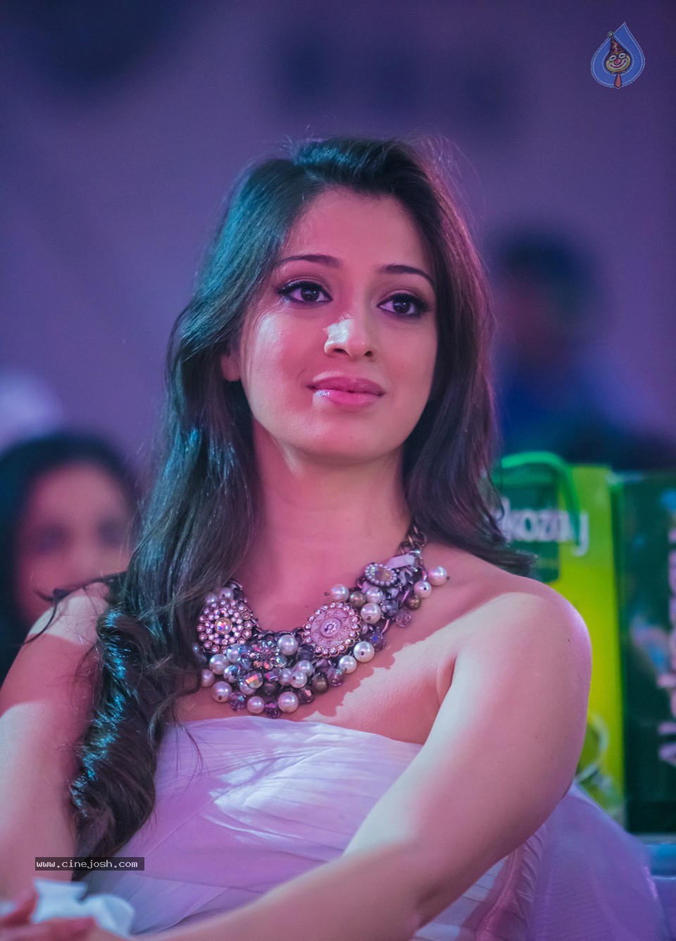 SIIMA 2013 Awards Day2 Photos 02 - 110 / 156 photos