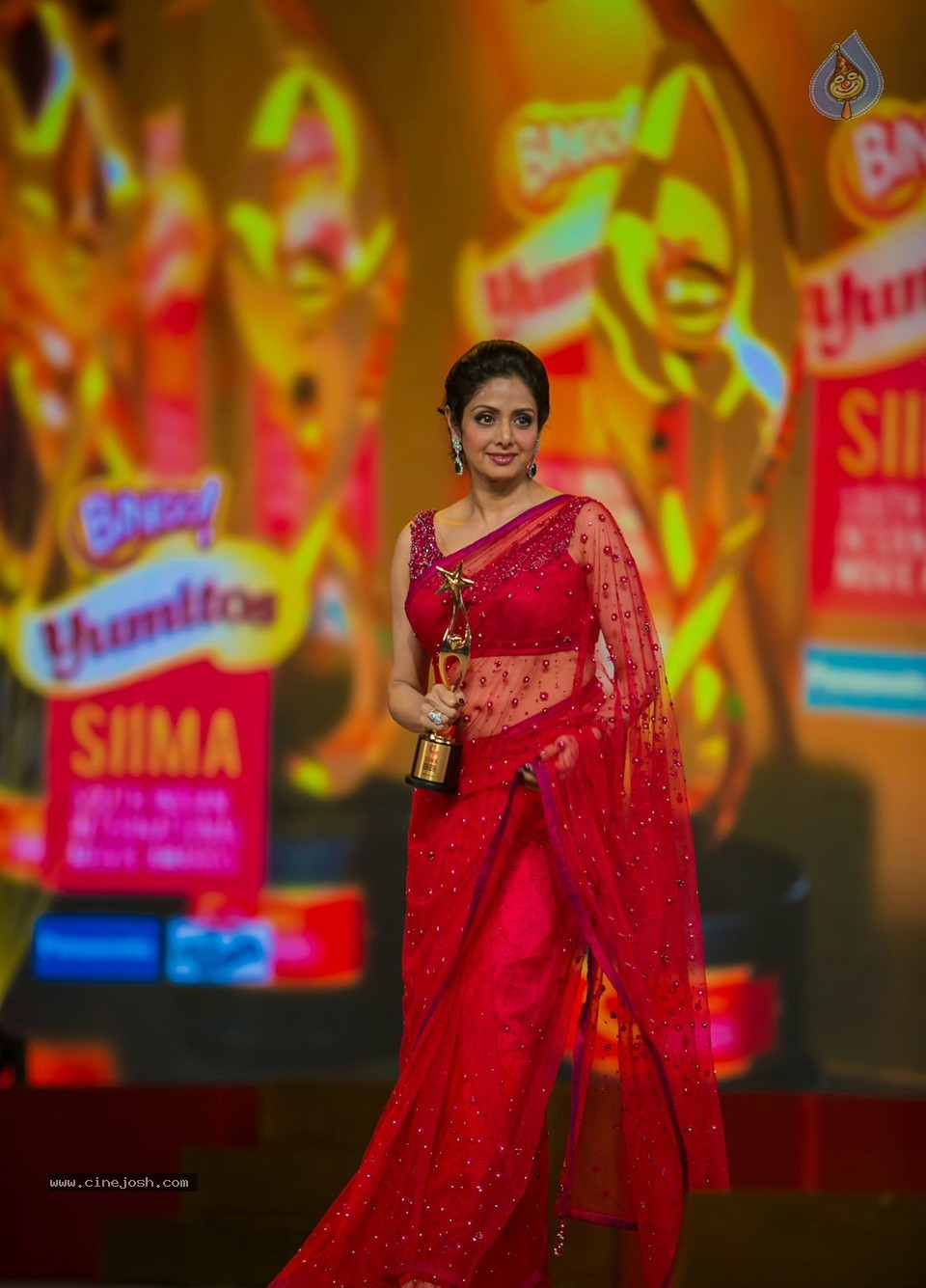 SIIMA 2013 Awards Day2 Photos 02 - 115 / 156 photos