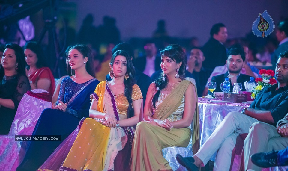 SIIMA 2013 Awards Day2 Photos 02 - 131 / 156 photos