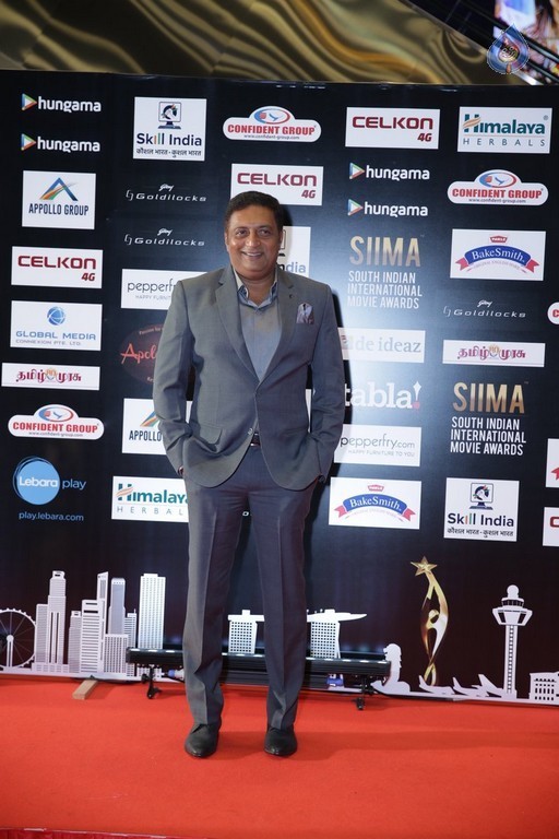 SIIMA 2016 Awards Day 2 - 4 / 32 photos