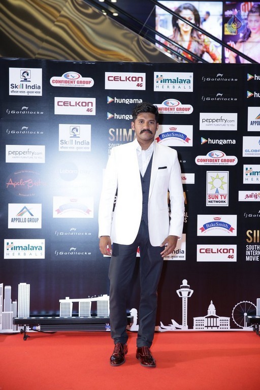 SIIMA 2016 Awards Day 2 - 15 / 32 photos