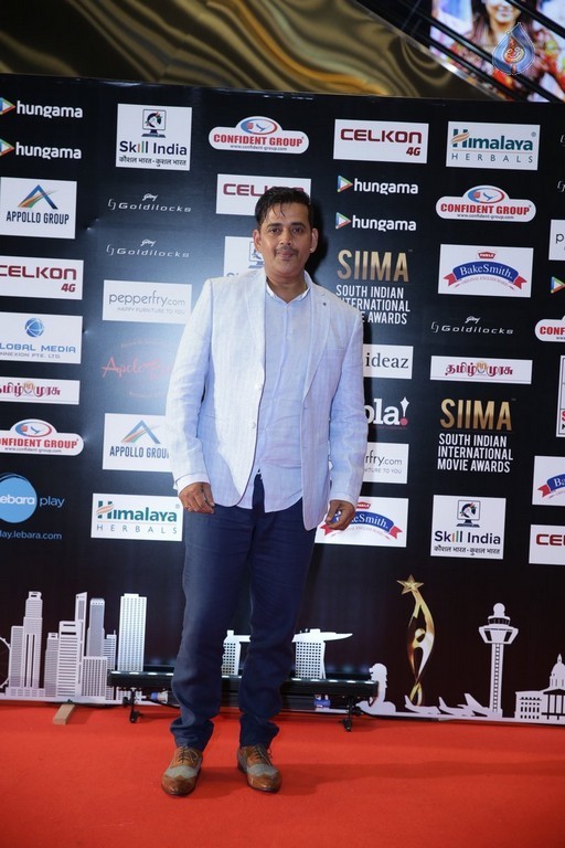 SIIMA 2016 Awards Day 2 - 20 / 32 photos