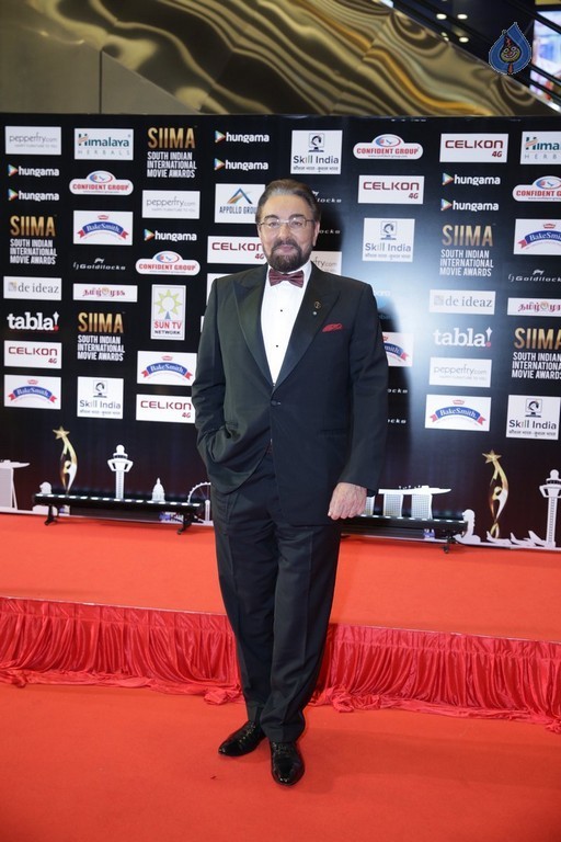 SIIMA 2016 Awards Day 2 - 29 / 32 photos