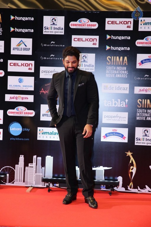 SIIMA 2016 Awards Photos - 9 / 25 photos
