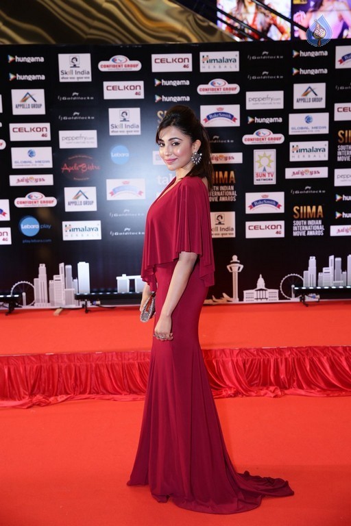 SIIMA 2016 Awards Photos - 11 / 25 photos