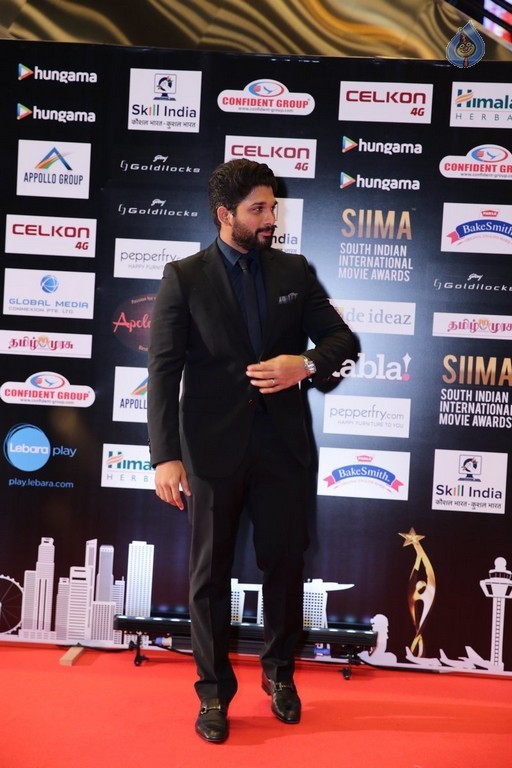 SIIMA 2016 Awards Photos - 12 / 25 photos