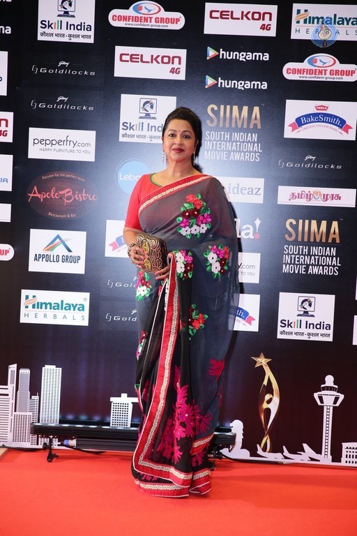 SIIMA 2016 Awards Photos - 21 / 25 photos