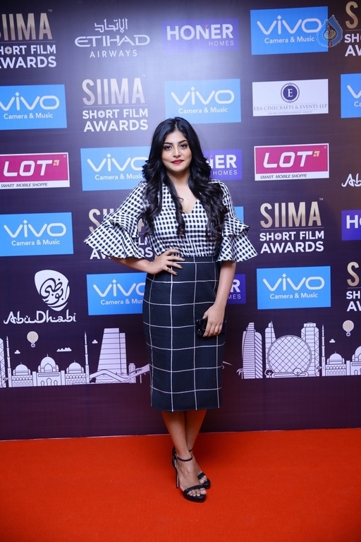 SIIMA 2017 Short Film Awards - 4 / 28 photos
