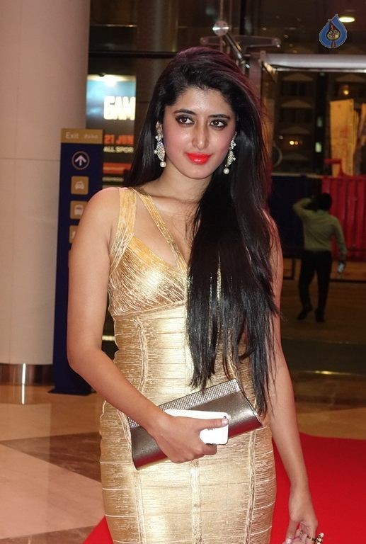 SIIMA Awards 2015 Day 2 Photos - 24 / 70 photos
