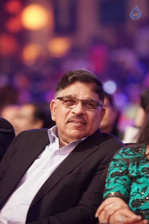 SIIMA Awards 2015 Event Photos - 32 / 74 photos