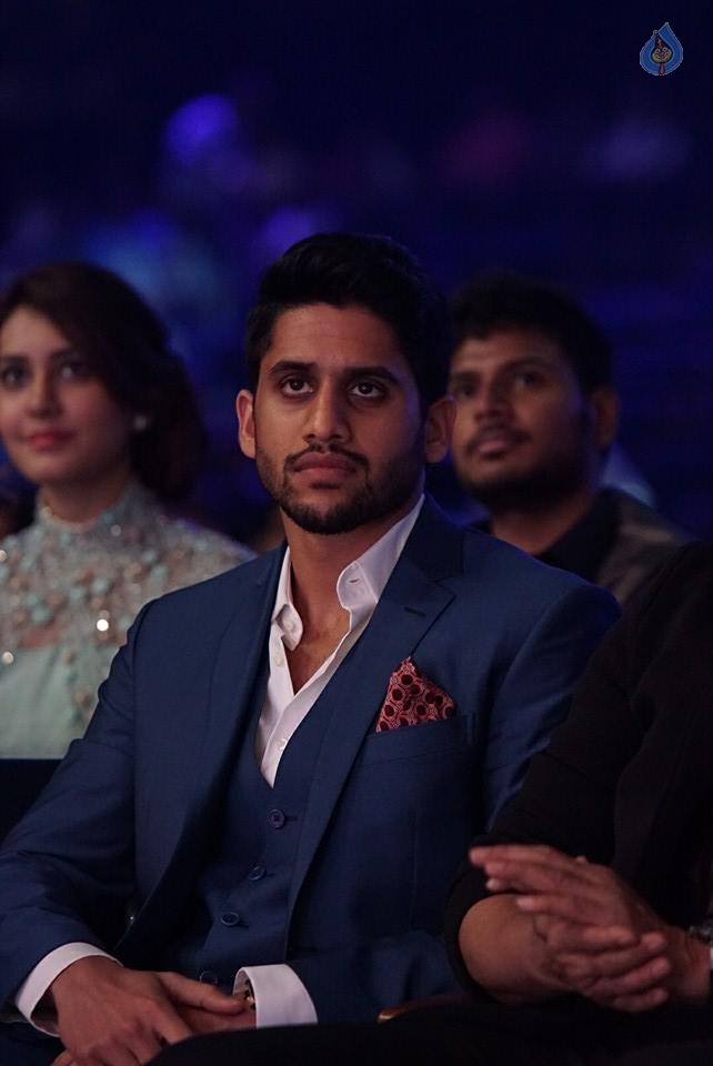 SIIMA Awards 2015 Photos - 5 / 58 photos