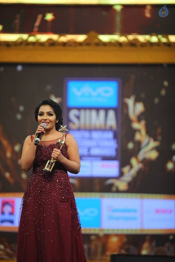 SIIMA Awards 2017 Day 2 Photos - 44 / 63 photos
