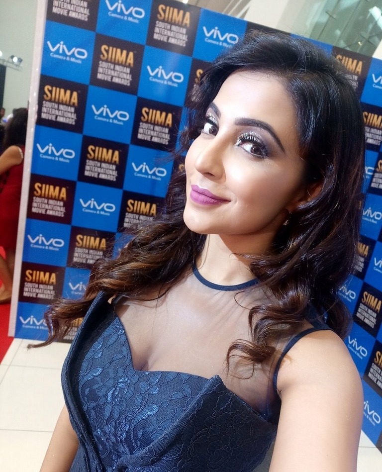 SIIMA Awards 2017 Gallery - 23 / 97 photos