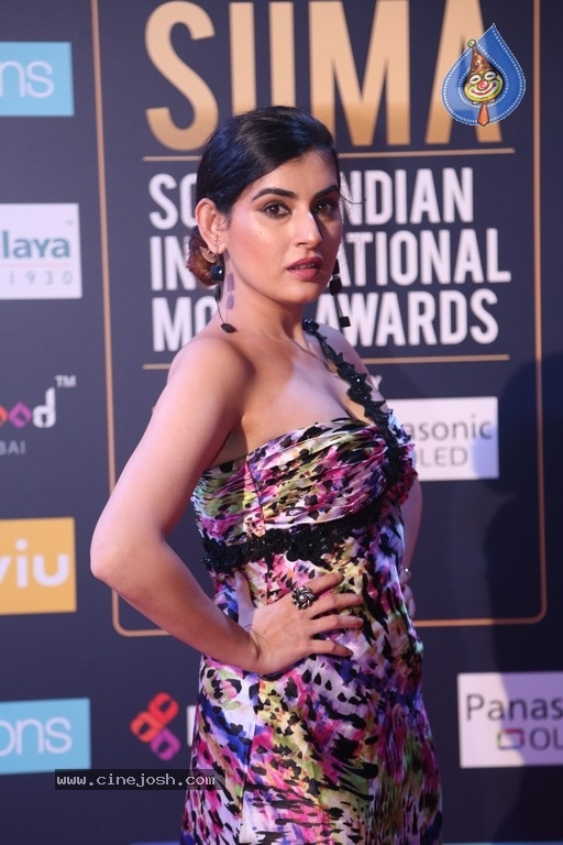 SIIMA Awards 2018 Day 2 Red Carpet - 7 / 59 photos