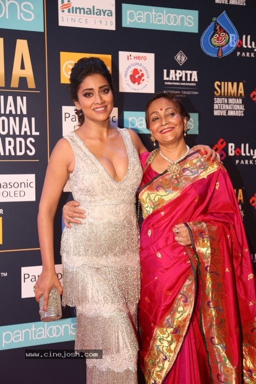 SIIMA Awards 2018 Day 2 Red Carpet - 37 / 59 photos