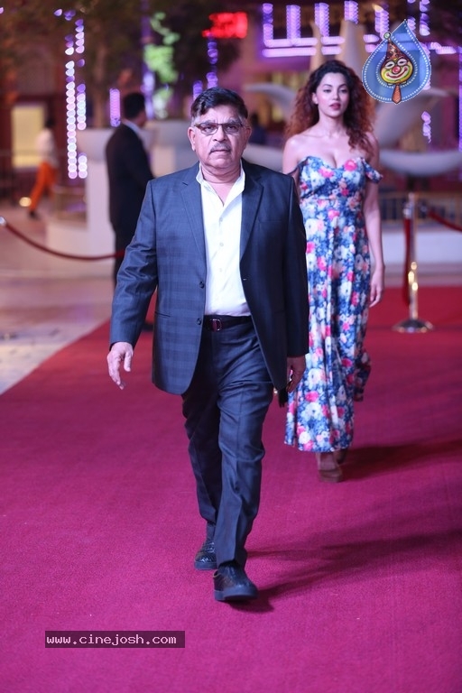 SIIMA Awards 2018 Day 2 Red Carpet - 46 / 59 photos