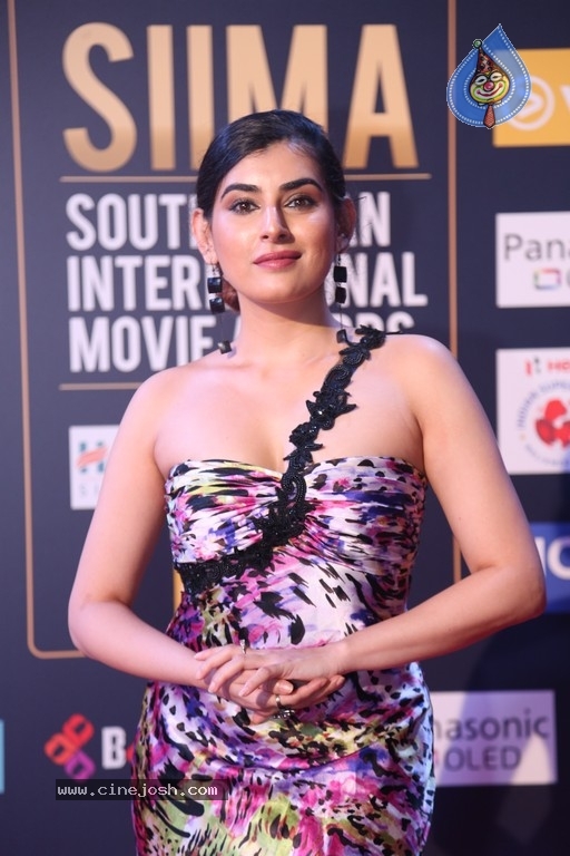 SIIMA Awards 2018 Day 2 Red Carpet - 56 / 59 photos
