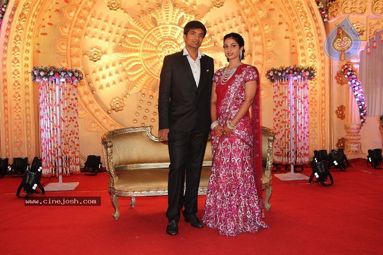 SMR Pruthviraj Lavish Reception Ceremony - 8 / 48 photos