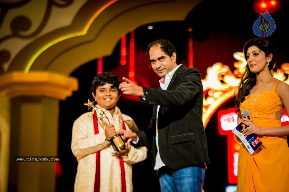 South Indian International Movie Awards 2014 - 4 / 255 photos