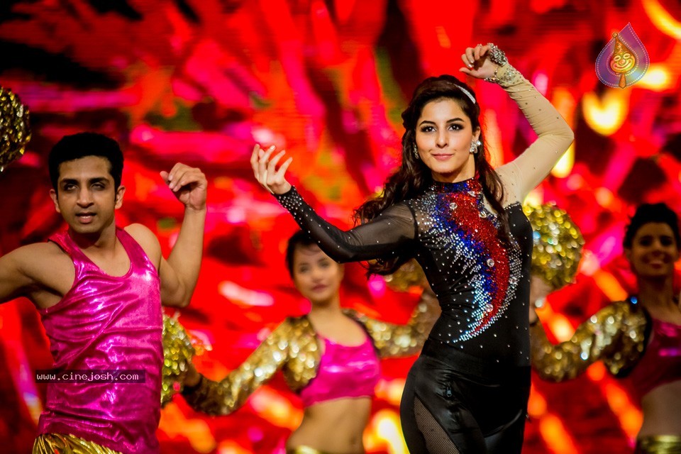 South Indian International Movie Awards 2014 - 49 / 255 photos