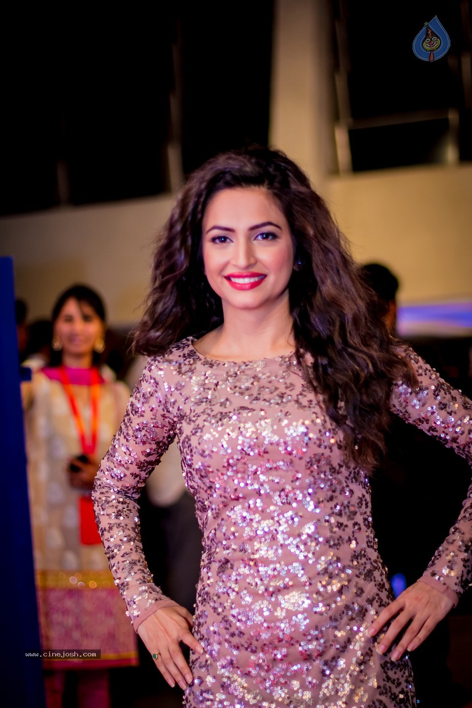 South Indian International Movie Awards 2014 - 56 / 255 photos