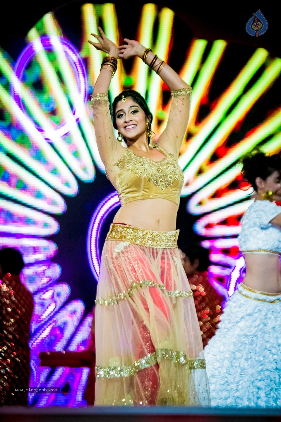 South Indian International Movie Awards 2014 - 57 / 255 photos