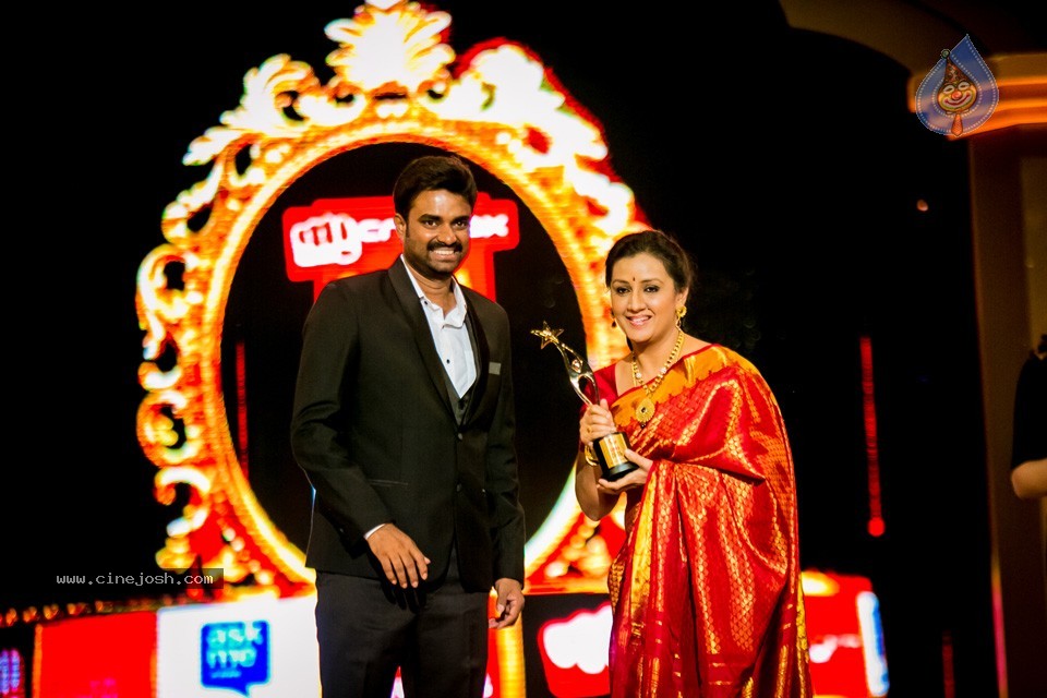 South Indian International Movie Awards 2014 - 88 / 255 photos