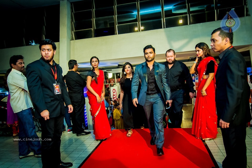 South Indian International Movie Awards 2014 - 95 / 255 photos