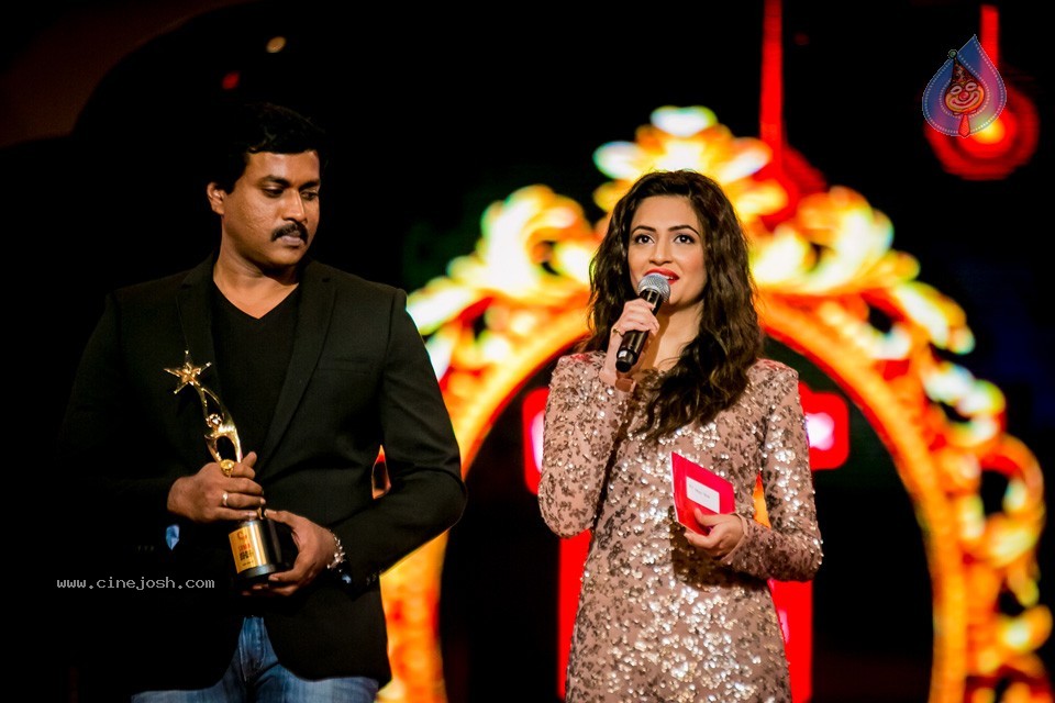 South Indian International Movie Awards 2014 - 118 / 255 photos