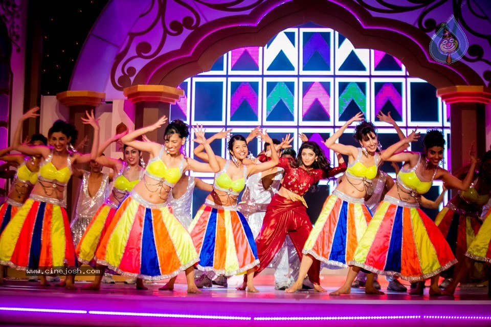 South Indian International Movie Awards 2014 - 125 / 255 photos