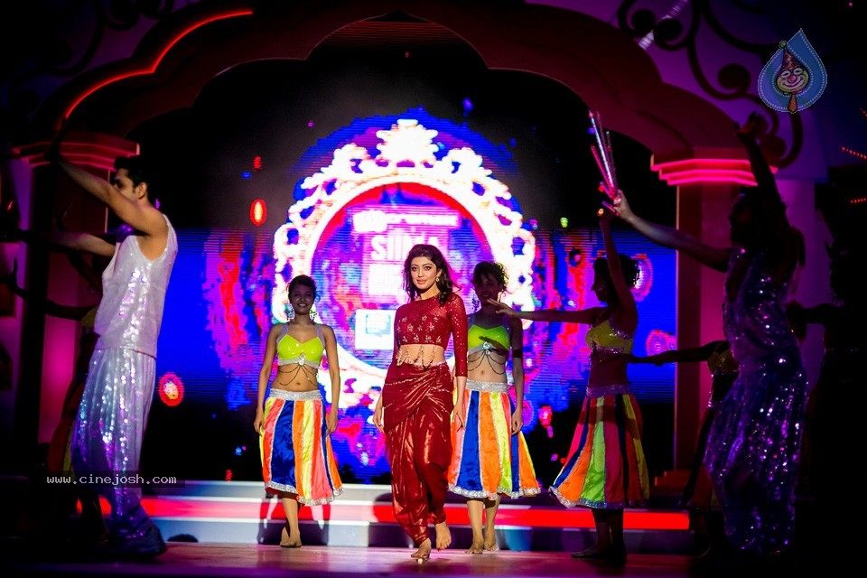 South Indian International Movie Awards 2014 - 169 / 255 photos