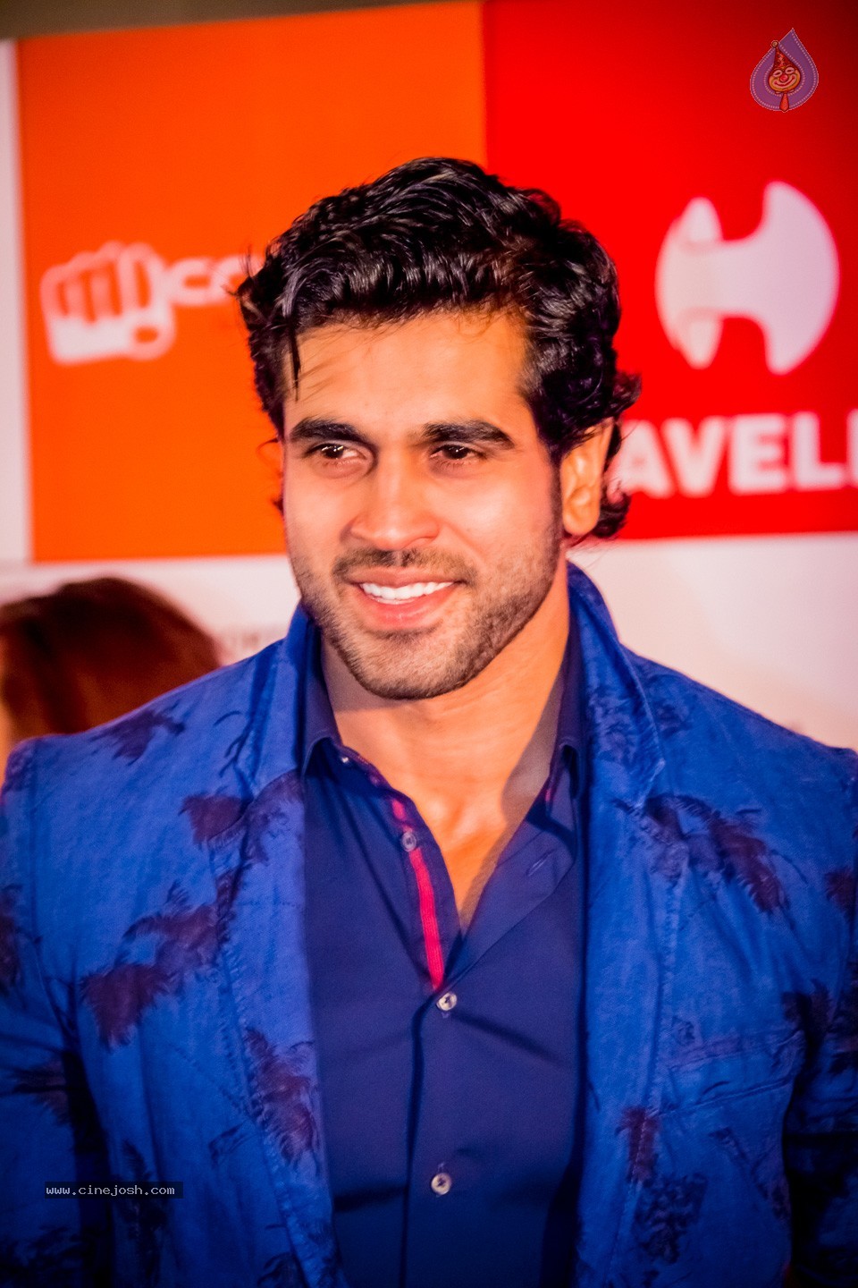 South Indian International Movie Awards 2014 - 208 / 255 photos