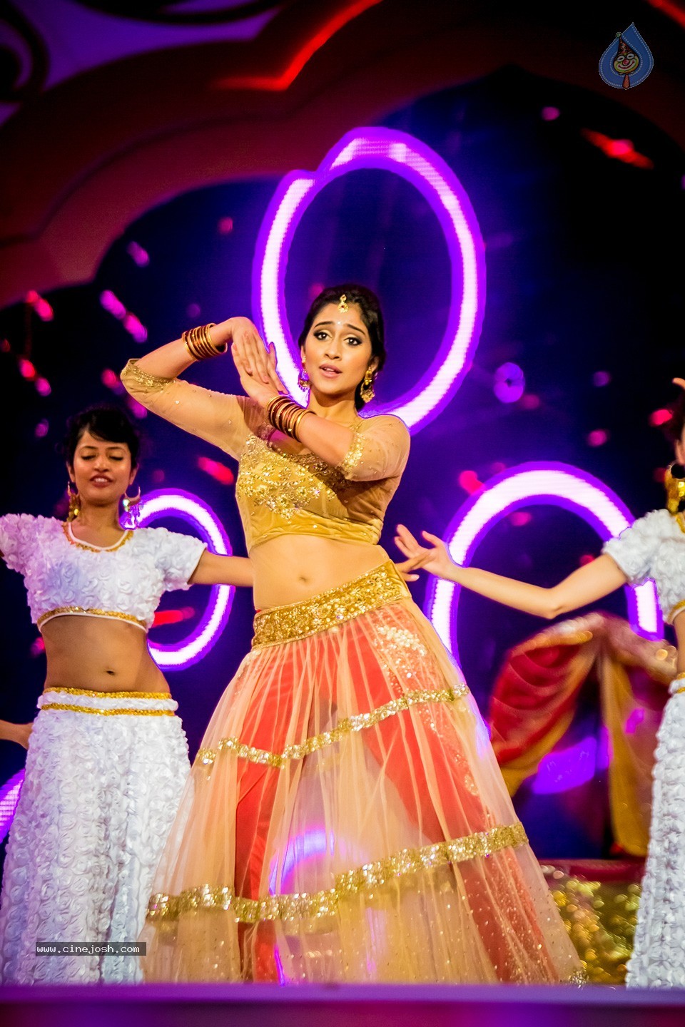 South Indian International Movie Awards 2014 - 235 / 255 photos