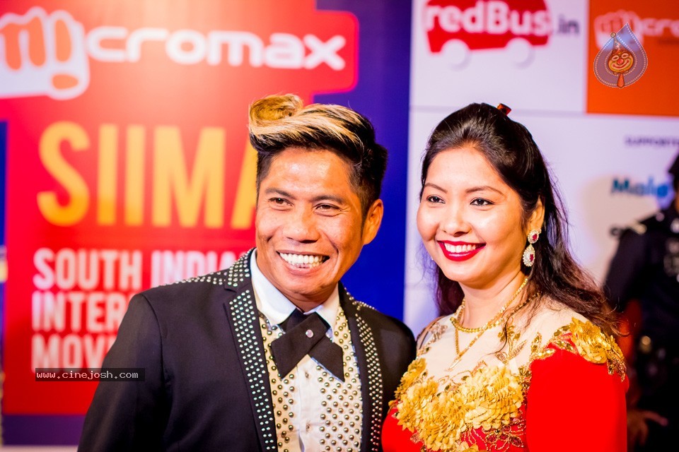 South Indian International Movie Awards 2014 - 238 / 255 photos