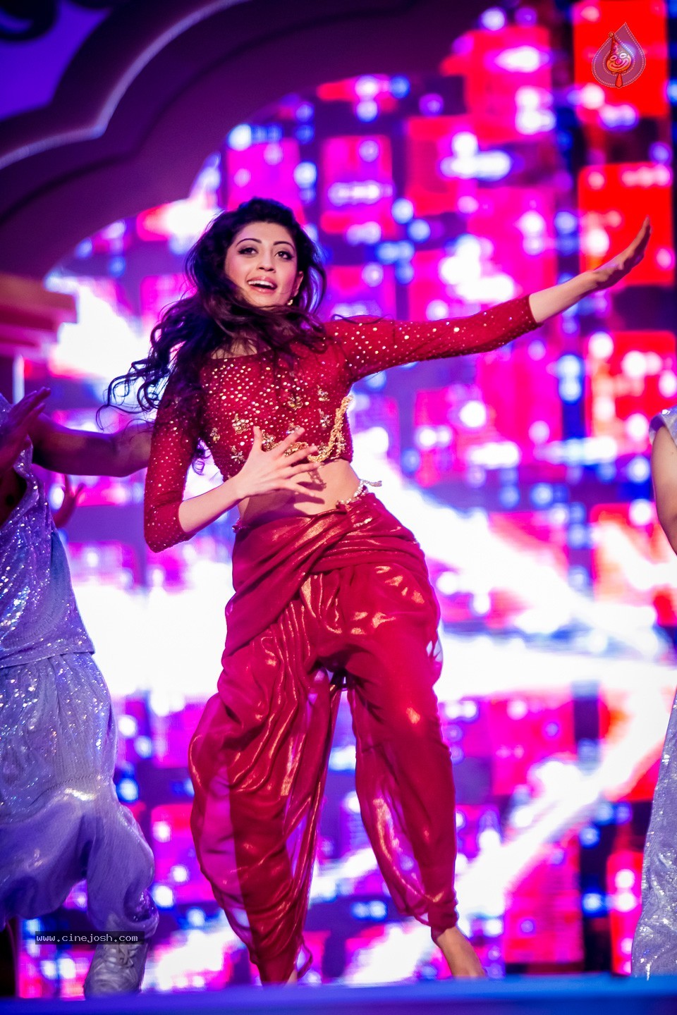 South Indian International Movie Awards 2014 - 239 / 255 photos