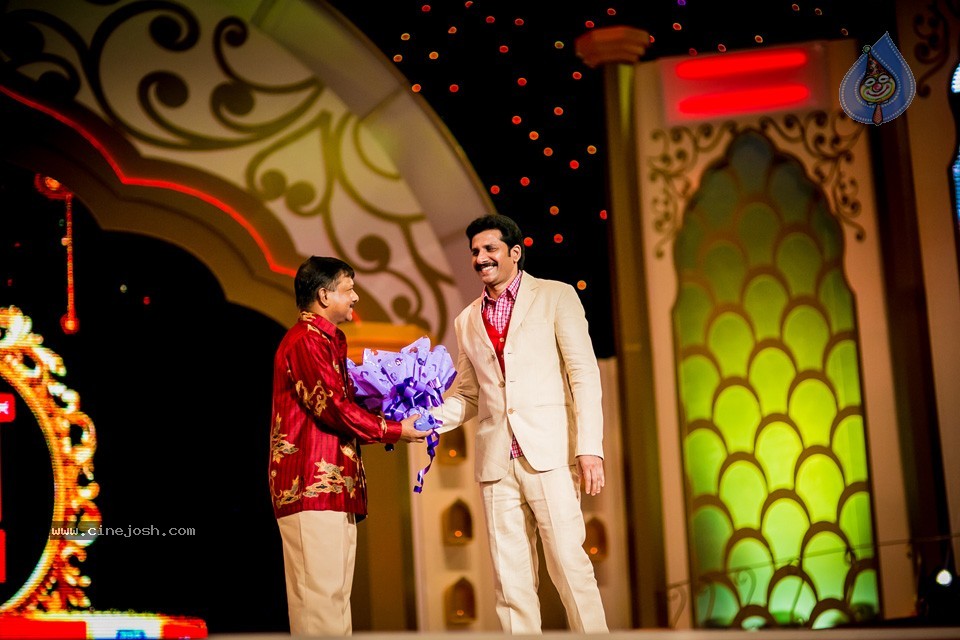 South Indian International Movie Awards 2014 - 243 / 255 photos