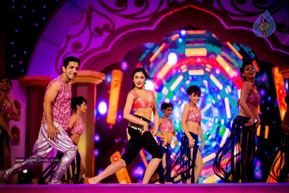 South Indian International Movie Awards 2014 - 252 / 255 photos