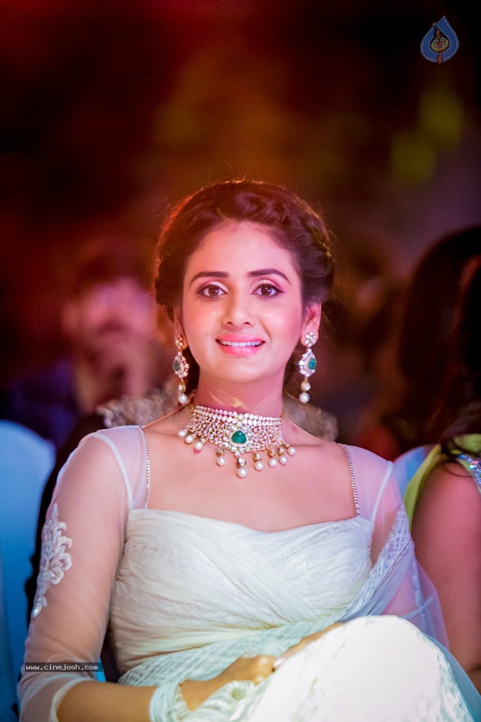 South Indian International Movie Awards 2014 - 254 / 255 photos