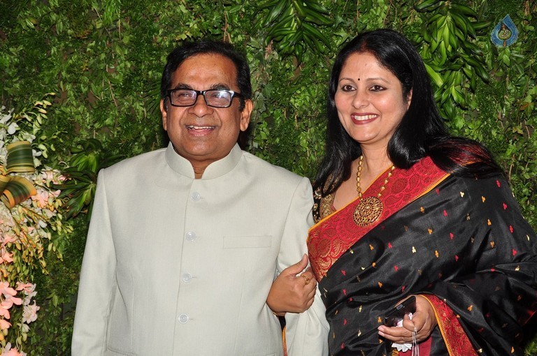 Sreeja and Kalyan Wedding Reception 4 - 64 / 102 photos