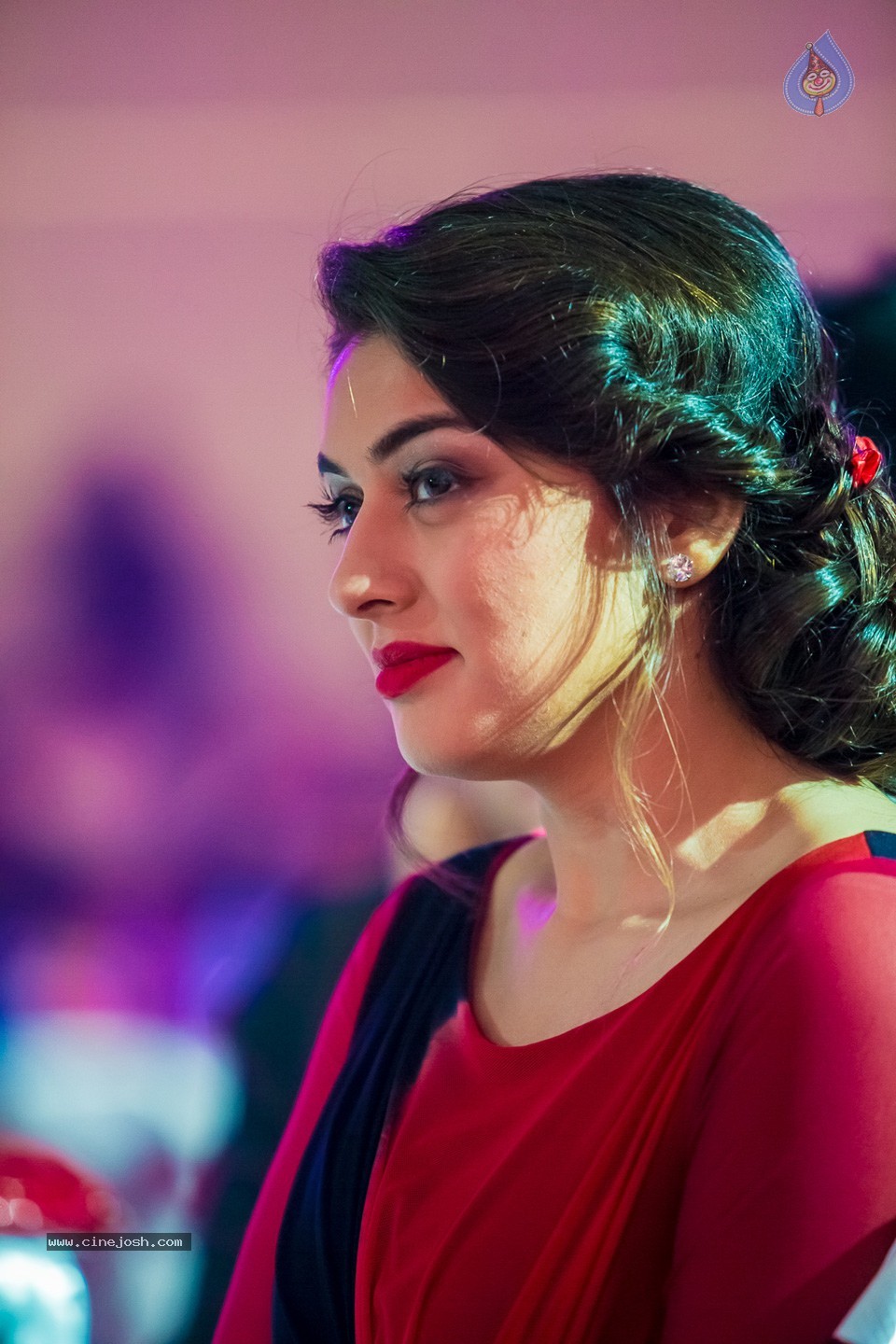 Stars at SIIMA 2013 Awards 02 - 12 / 204 photos