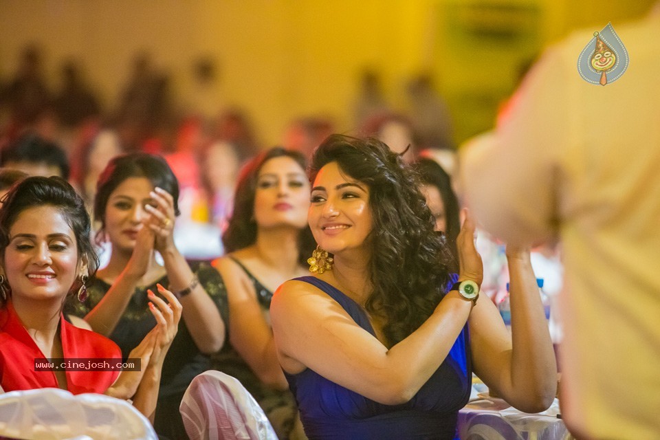 Stars at SIIMA 2013 Awards 02 - 39 / 204 photos