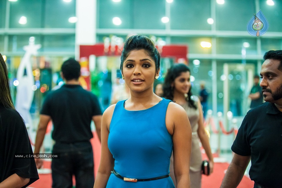 Stars at SIIMA 2013 Awards 02 - 87 / 204 photos