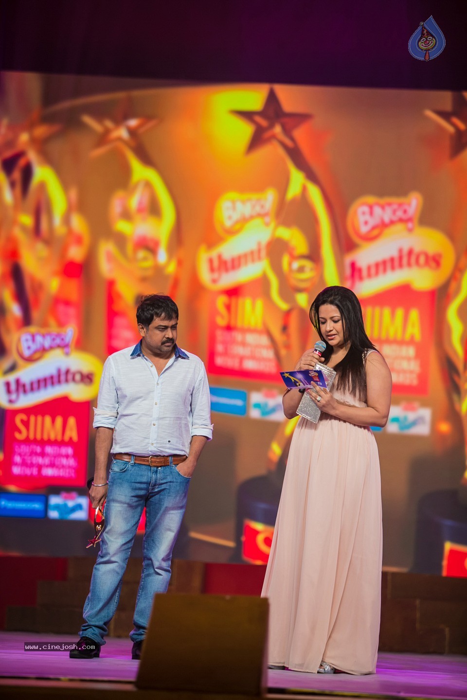 Stars at SIIMA 2013 Awards 02 - 89 / 204 photos